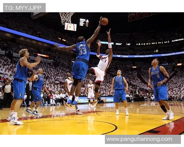 总决赛小牛对决热火精彩回顾与赛后分析全景呈现