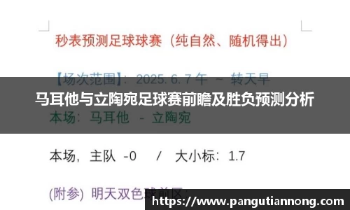 马耳他与立陶宛足球赛前瞻及胜负预测分析