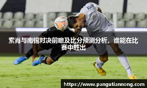 索肖与南锡对决前瞻及比分预测分析，谁能在比赛中胜出