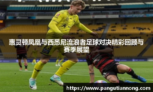 惠灵顿凤凰与西悉尼流浪者足球对决精彩回顾与赛季展望